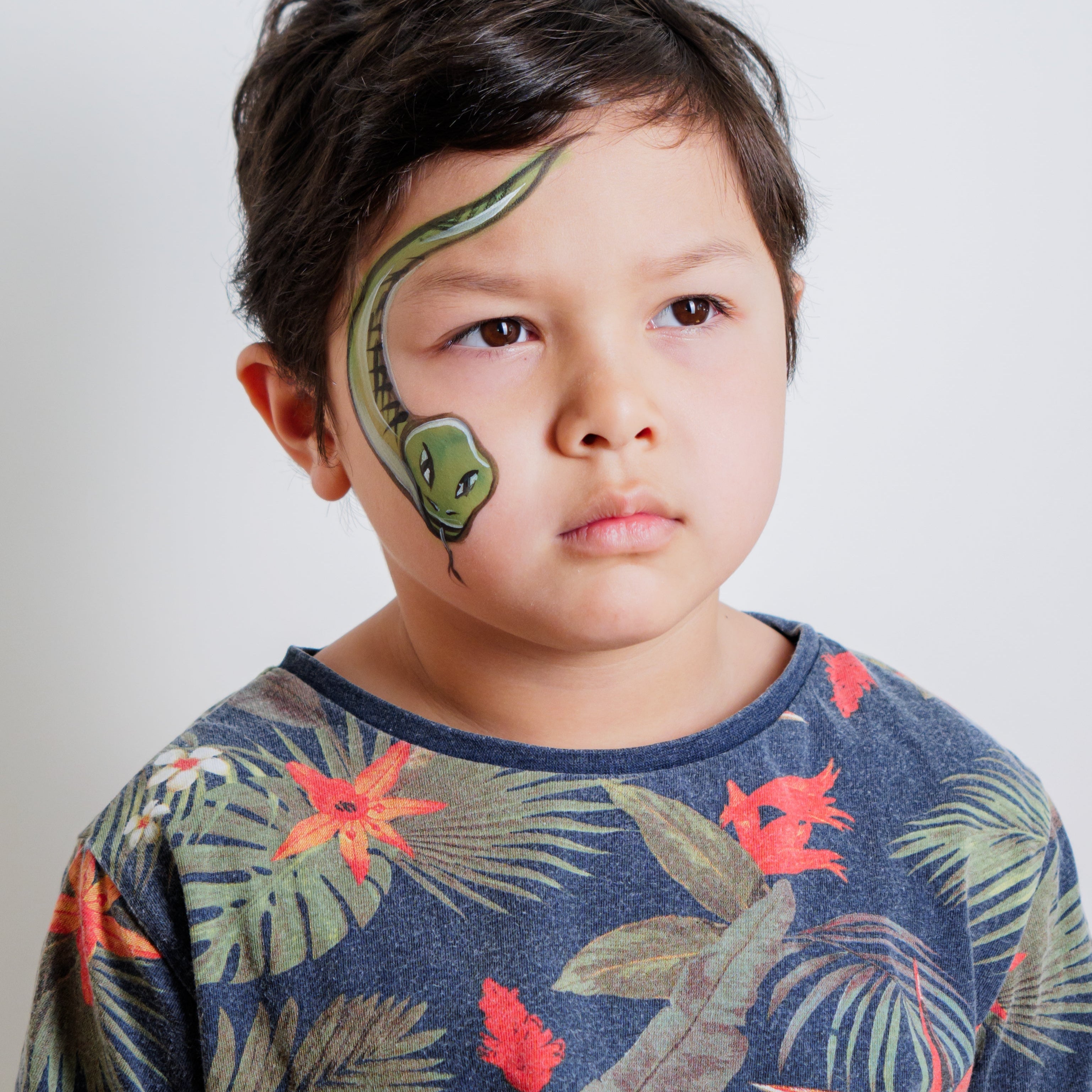 The Animal Kingdom Face Paint Kit