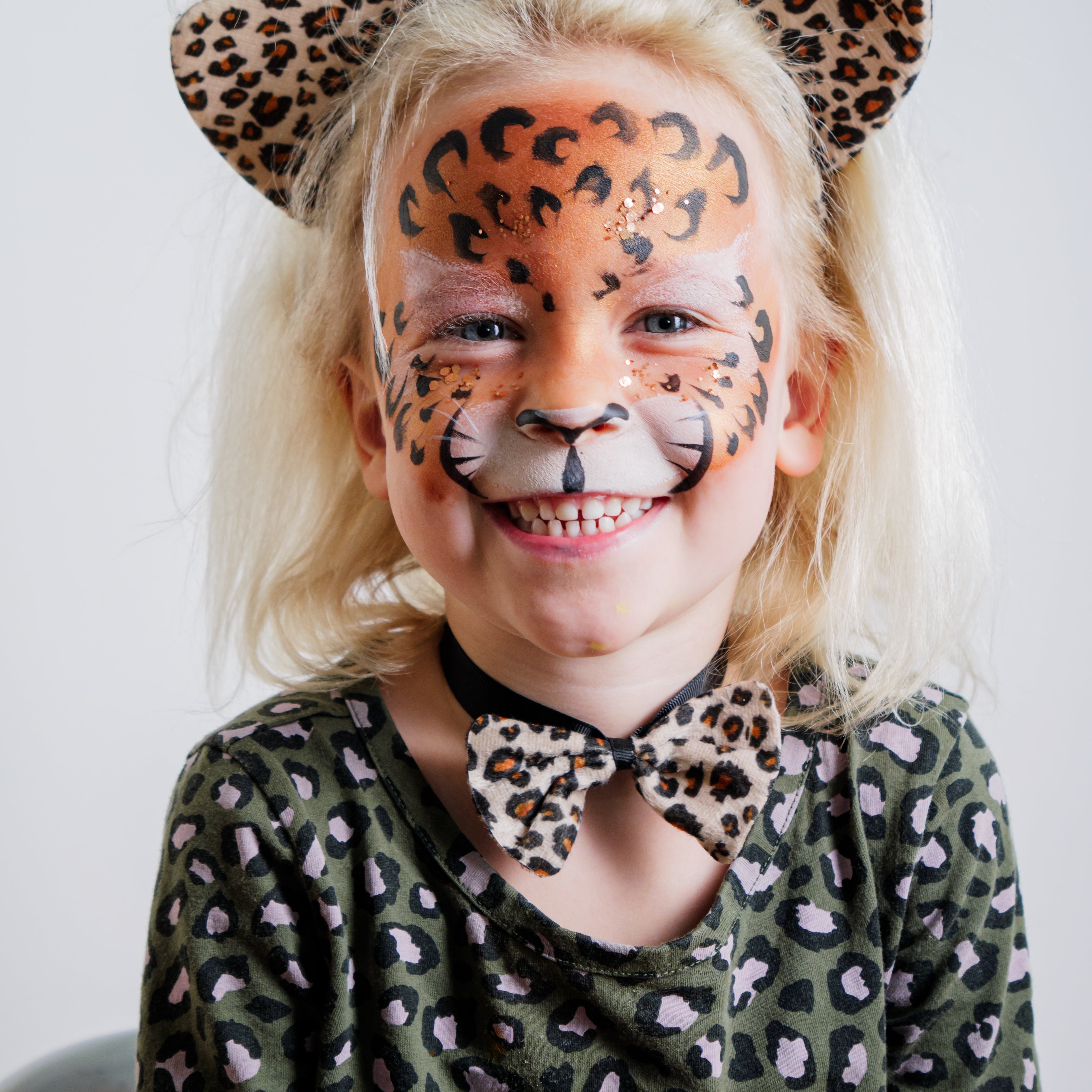 The Animal Kingdom Face Paint Kit