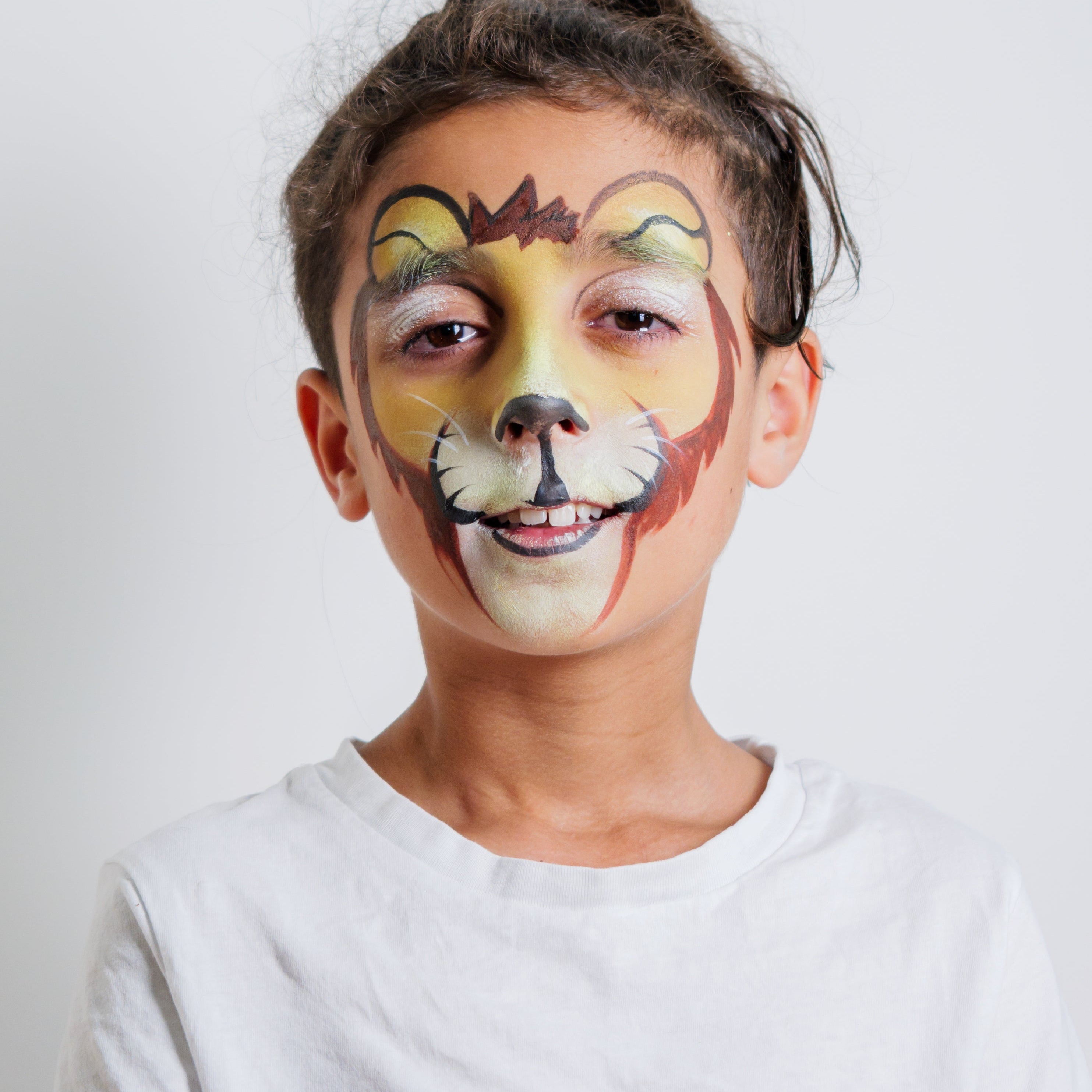 The Animal Kingdom Face Paint Kit
