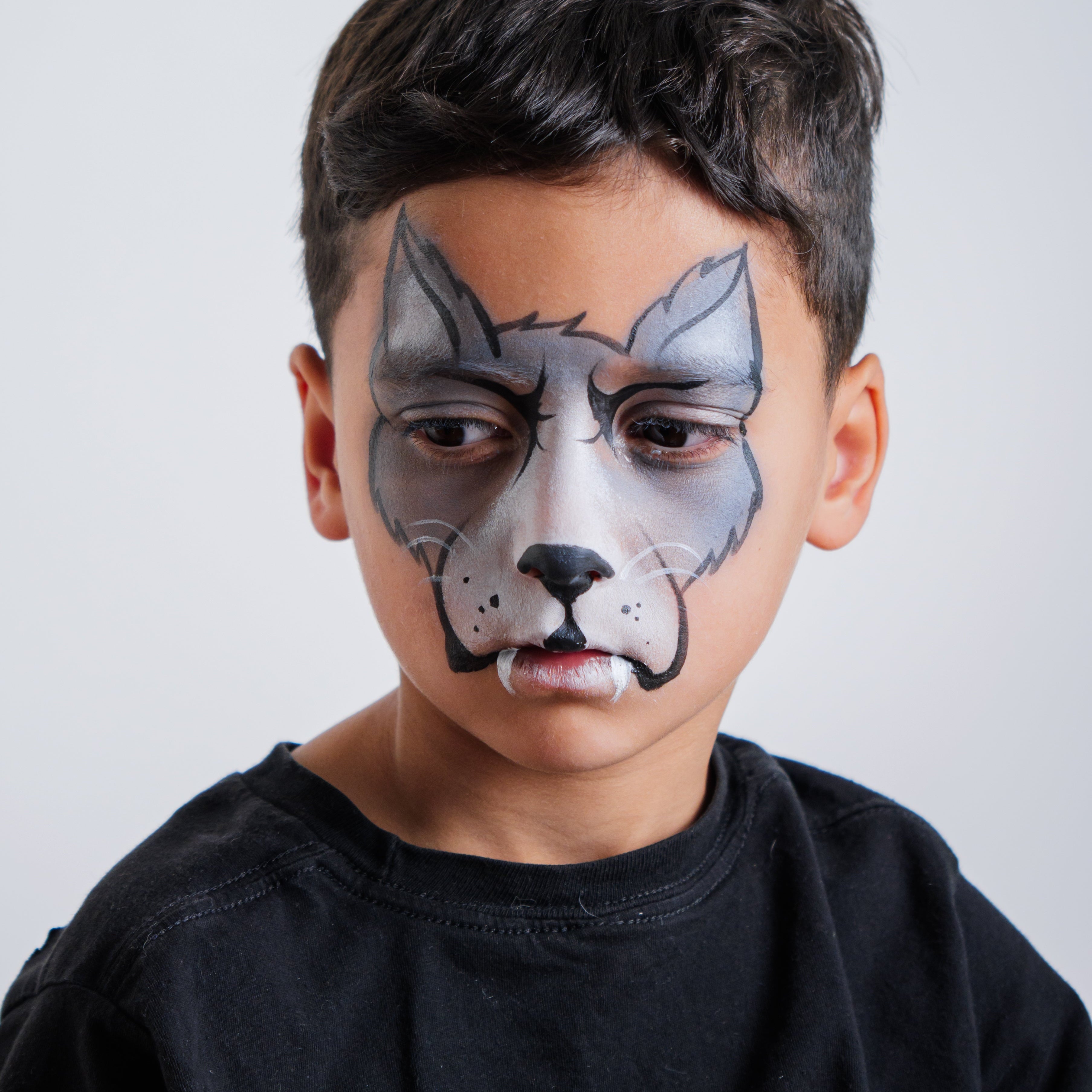The Animal Kingdom Face Paint Kit