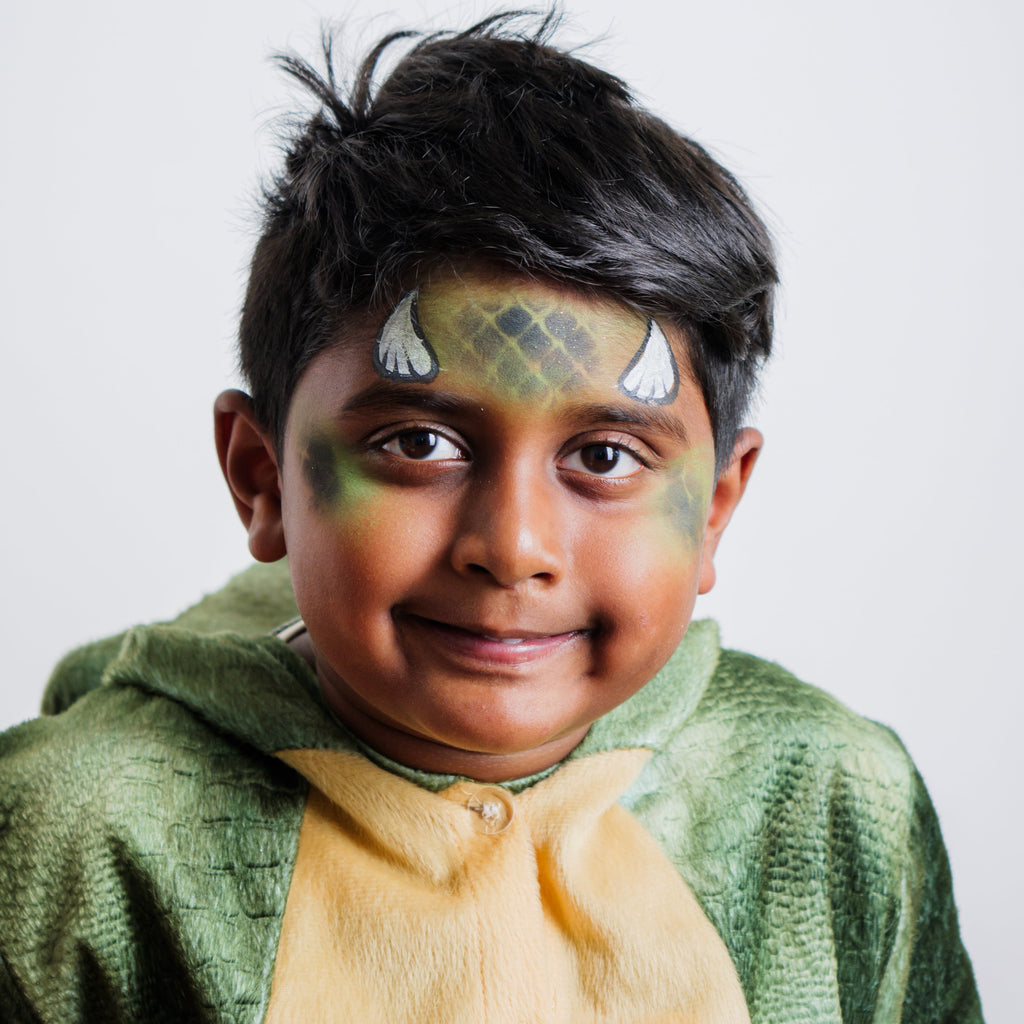 The Dino & Dragon Face Paint Kit & Apron